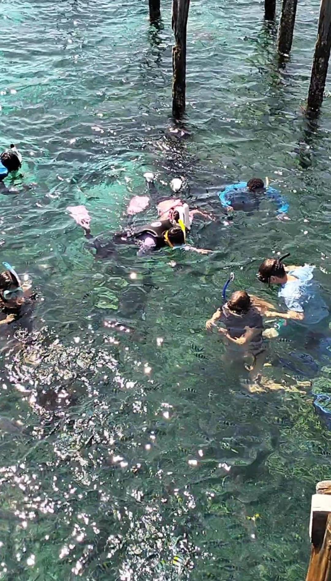 Bruno Raja Ampat Homestay Pulau Mansuar Bagian luar foto